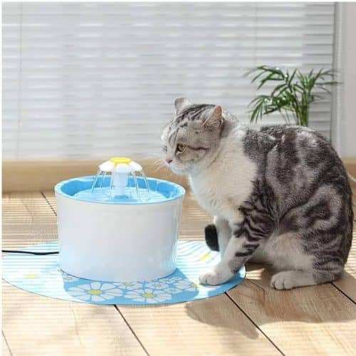 Bebedero Fuente De Agua Led Perros Gatos Automatico 2.4 Litros