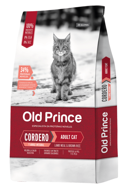 Old Prince Gato Castrado Cordero