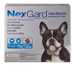 Nexgard 1 Comprimido - San Juan Mascotas