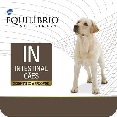 Equilibrio Veterinary Intestinal