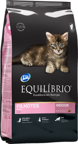 Equilibrio Gato Kitten - San Juan Mascotas